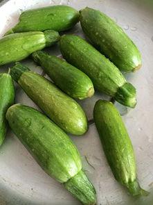 小角瓜如何吃,解锁健康美味新选择