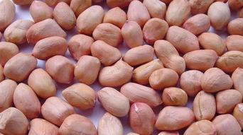 梦见吃瓜孑花生,瓜籽花生引发的奇幻之旅