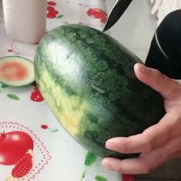 梦淼儿吃瓜,揭秘娱乐圈那些不为人知的幕后故事